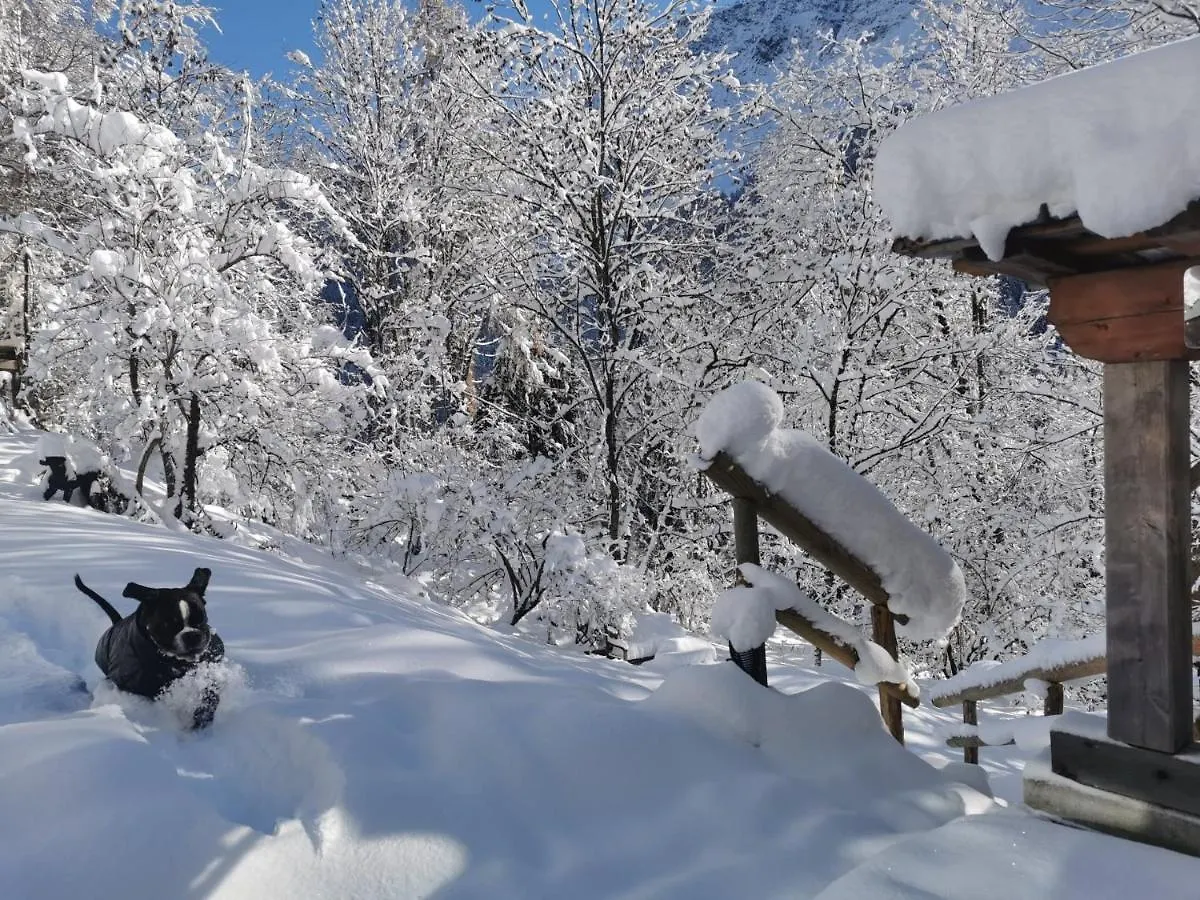 Hotel Dolomiti House Cibiana 0*,