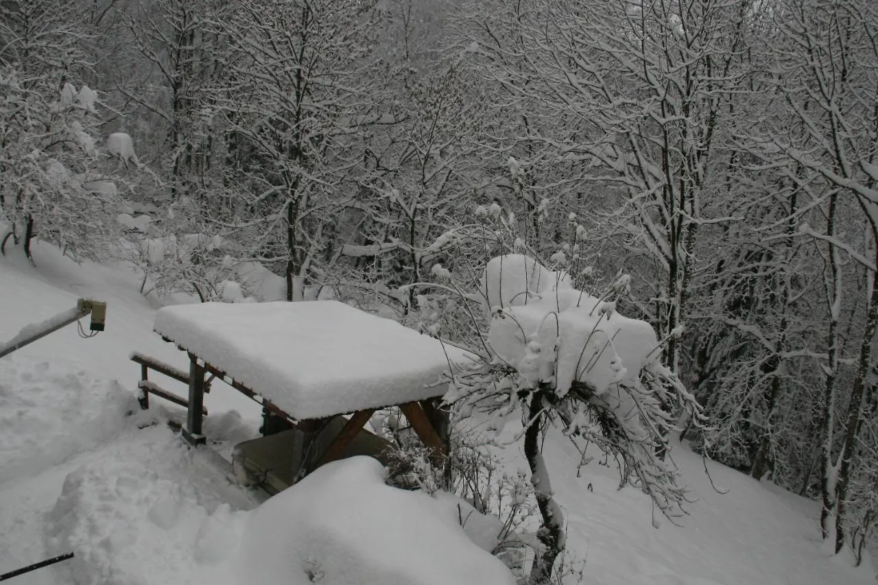 Gasthof Hotel Dolomiti House Cibiana