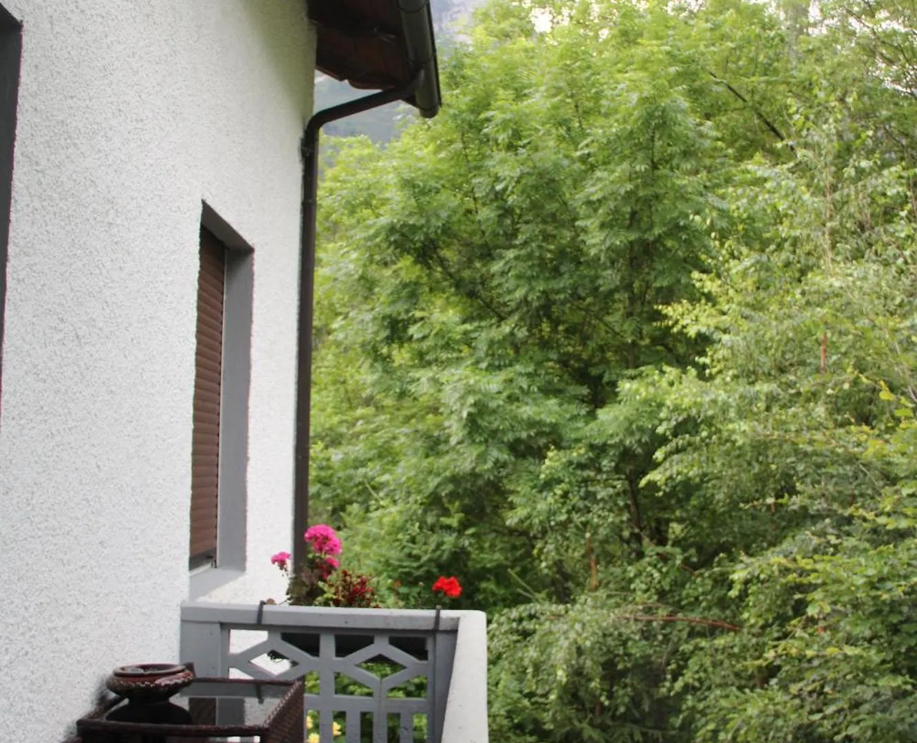 Hotel Dolomiti House Cibiana Gasthof